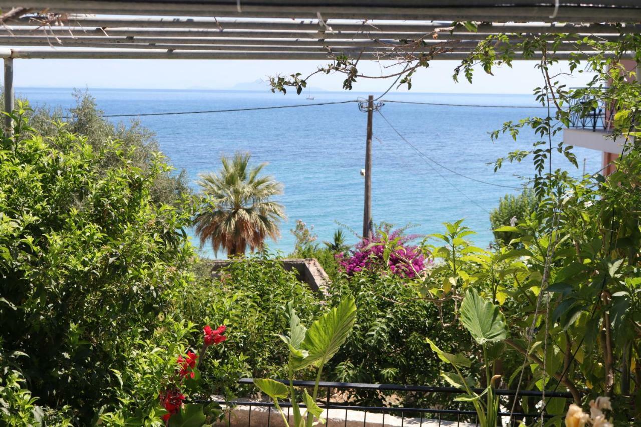 Michaela Hotel Poros  Bilik gambar